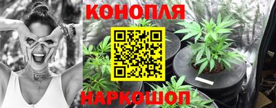 гидропоника Краснодар