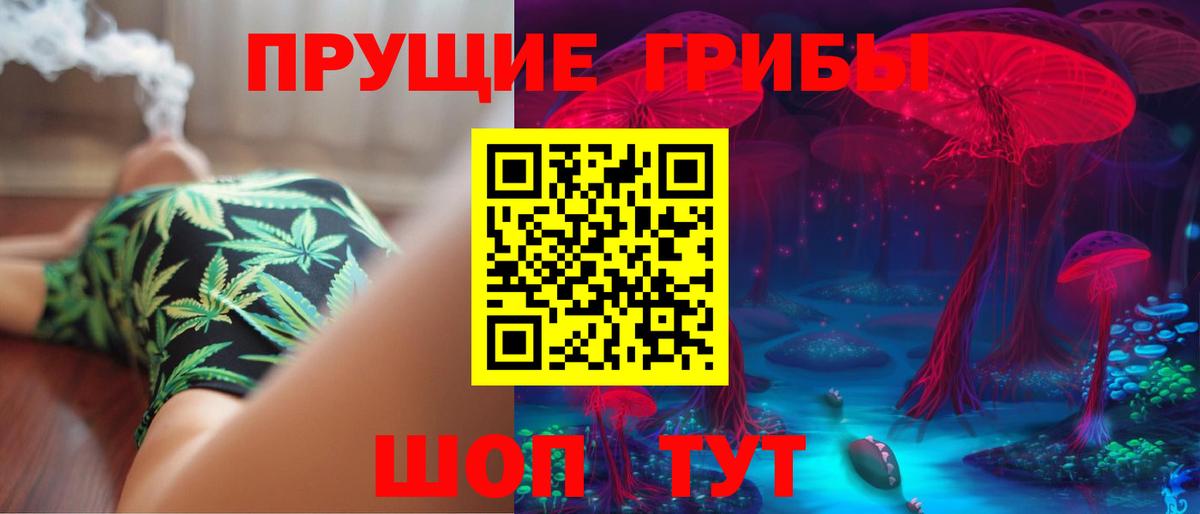 где купить наркотик  Вход с VPN  Казань  Галлюциногенные грибы Psilocybe  Галлюциногенные грибы мицелий 